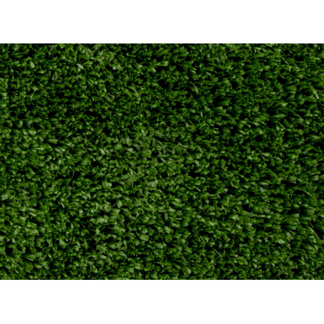 SET 5 PEZZI CAMPIONI TAPPETO ERBOSO EVERGREEN