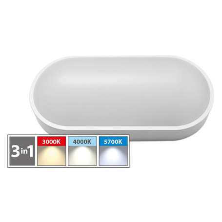 PLAFONIERA LED OVALE  BV  12W - 800 lumen
