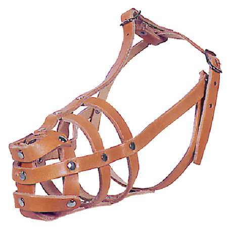MUSERUOLA PER CANE N. 3