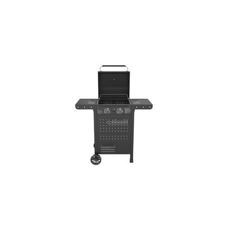 C BARBECUE PIETRA LAVICA GAS 2 FUOCHI HOT 2