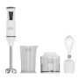 FRULLATORE AD IMMERSIONE 750W C\ACCESSORI