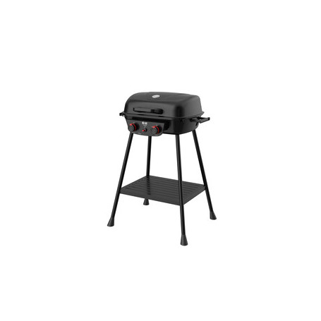 C BARBECUE A GAS 2 FUOCHI EASY HOT