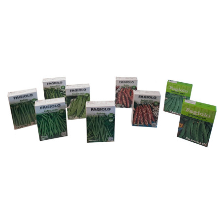 SEMI PER FAGIOLI fagiolo nano corallo - gr 250