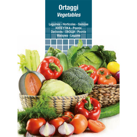 SEMI PER ORTAGGI E VEGETALI cicoria catalogna puntarelle frastagliate