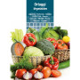 SEMI PER ORTAGGI E VEGETALI cicoria catalogna puntarelle frastagliate