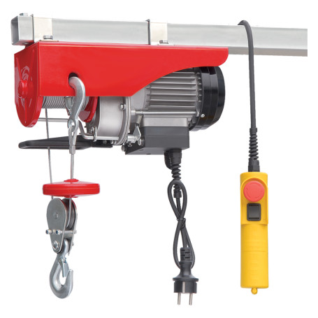 ELETTROCARRUCOLA  SX200-12   450 W - portata 100/200 kg