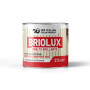 SMALTO BRIOLUX 375ML TESTA DI MORO