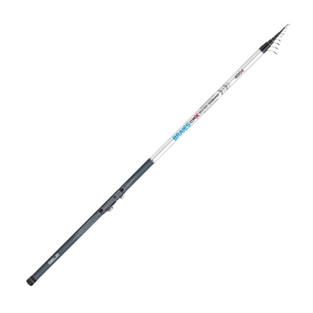 SELE BRAIES BOLO