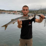 AKAMI WILD 140