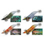 DTD WEAK FISH EGI
