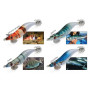 DTD WEAK FISH EGI