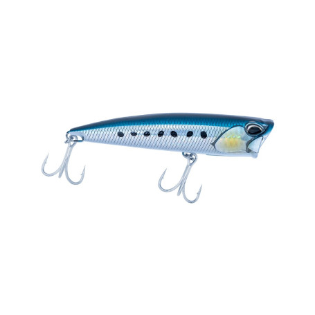 AKAMI SQUASH 120