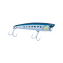 AKAMI SQUASH 120
