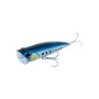 AKAMI SQUASH 120