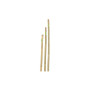 CANNA IN BAMBOO D.22-24 H.180