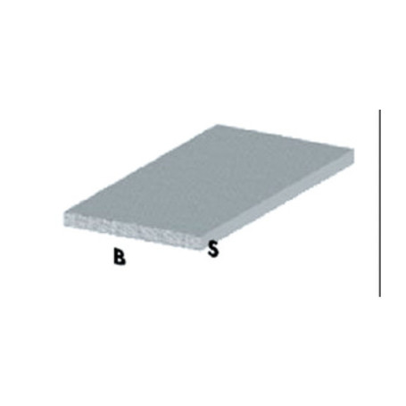 PROFILO ARGENTO H.100 CM PIATTO 25X2 MM*