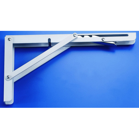 REGGIMENSOLA MULTIPOSIZIONE POR 70 KG BIAN 40 CM