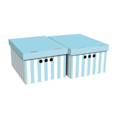 SCATOLA CARTONE CM 33X25X18H SET 2PZ COL.033