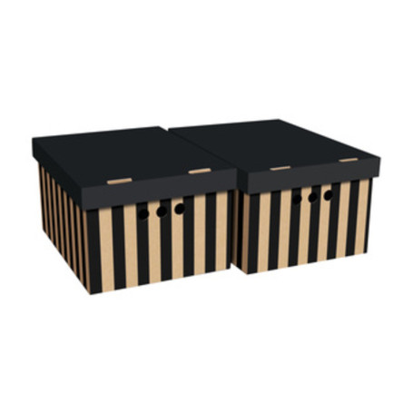 SCATOLA CARTONE CM 33X25X18H SET 2PZ COL.036