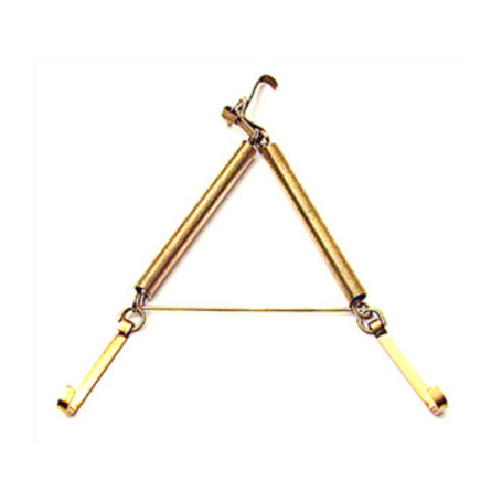 BL APPENDIPIATTI A MOLLA OTTONATO 22X33 CM (PZ.2)