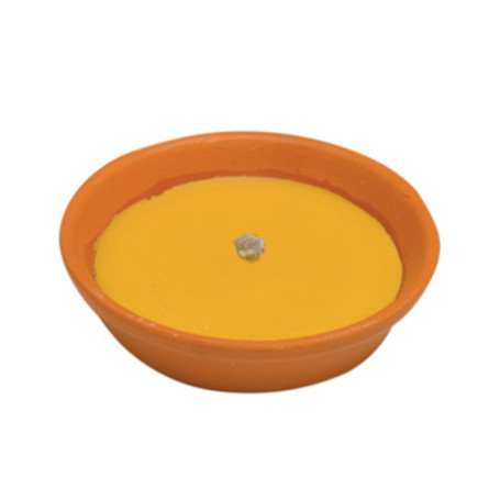 CITRONELLA IN COCCIO ANTIVENTO D 14 CM