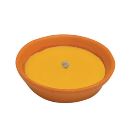 CITRONELLA IN COCCIO ANTIVENTO D 18 CM