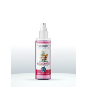 SPRAY AMBIENTE OFFICINA DEI FIORI 150ML BACCHE ROS