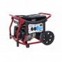 GENERATORE DI CORRENTE MOD. WX6200ES