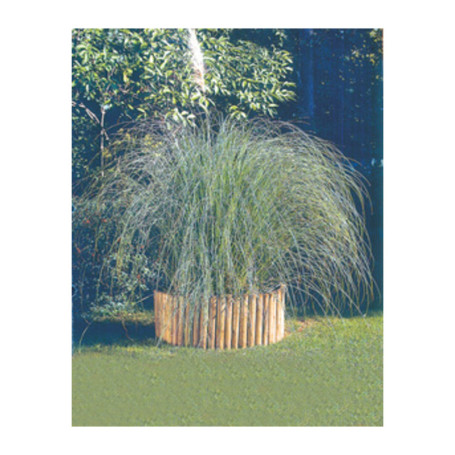 BORDURA IN PINO IMPREGNATO ROTOLO 180XH20 CM