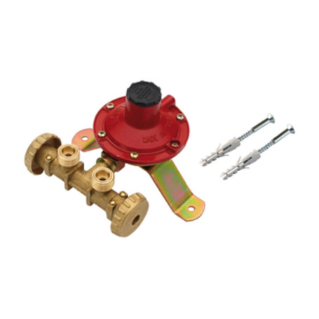 CENTRALINA P\GAS A 2 RUBIN  4 KG\H S\FLESS MIGN*