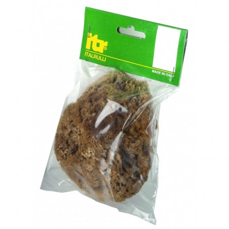 SPUGNA MARINA NATURALE CM.14 PER PITTURE