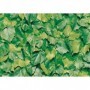 PLASTICA ADES.ALKOR 280.3170 MT15