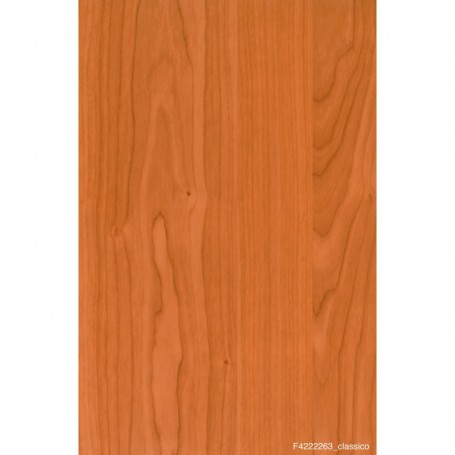 RT PLASTICA ADESIVA 280.3122 MT.2