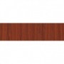 RT PLASTICA ADESIVA 280.2226 MT.2
