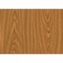 RT PLASTICA ADESIVA 280.2163 MT.2