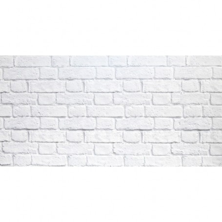 PANNELLO DECORATIVO CM 50X100 DIS. MURO