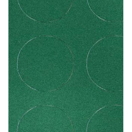 COPRIPAV. "BOLFLEX" H.100 VERDE CS002