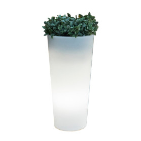 VASO SOLARE FICUS LED D 29XH59 CM RGB C\TELECOM