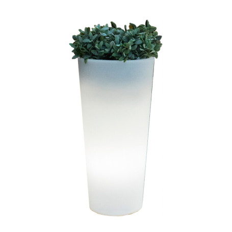 VASO SOLARE FICUS LED D 29XH59 CM RGB C\TELECOM