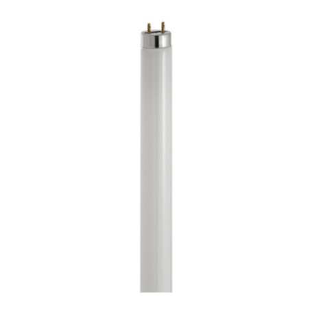 BEGHELLI TUBO FLUO T8 TRIMAX 58W  CM 150