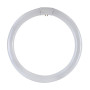 CIRCOLINA FLUO TRIFOSFORO 32W *