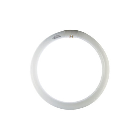 CIRCOLINA 22W G10Q 1200LM 6500K