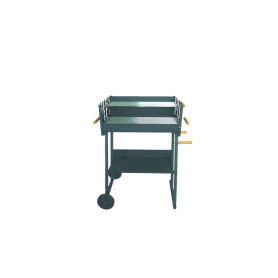C BARBECUE A CARBONE KILAUEA CM 52X87X90