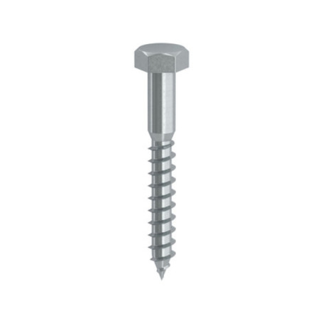 TIRAFONDO TE 10 X 60MM ZINCATO