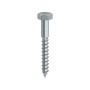 TIRAFONDO TE 10 X 60MM ZINCATO
