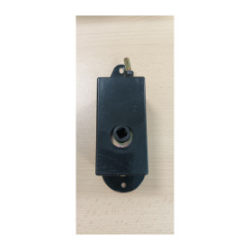 R ARGANELLO P\OMBRELLONI ASTER