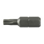 LTI INSERTO TORX 25 MM T10 M 3