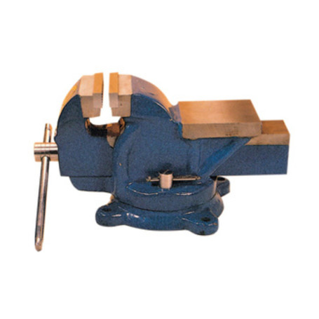 MORSA DA BANCO GIREVOLE IN GHISA 100 MM     80270