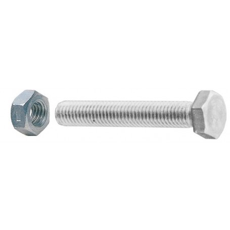 SC VITI A METALLO T.E.10X100 C DADI (PZ.2)