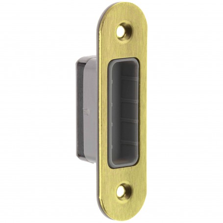 CONTROPIASTRA PER PATENT MAGNETICA OTTONATA
